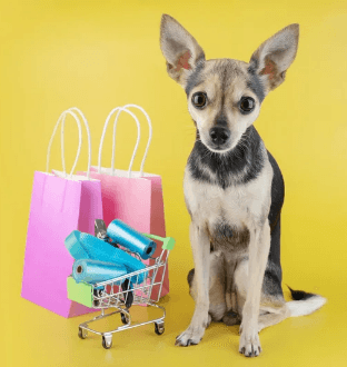 buy-online-dog-accessories